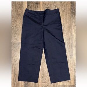 Ann Taylor Women's Navy Blue Pants Size 6 Petite
